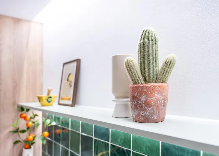 Vivendos - Vv08 - Miramar